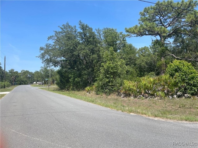 6645 W Erlen Ln, Homosassa, FL 34448 - photo 3