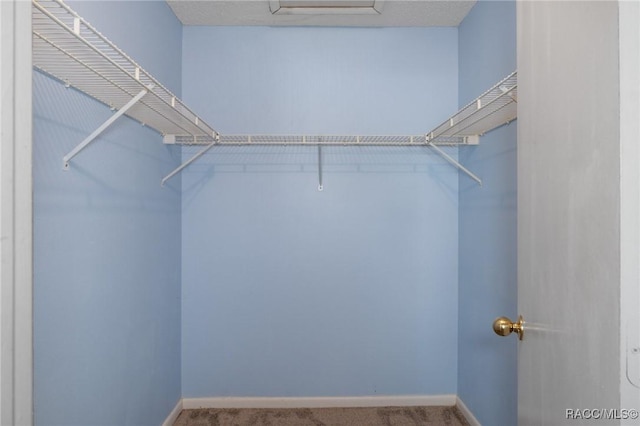 spacious closet featuring carpet flooring