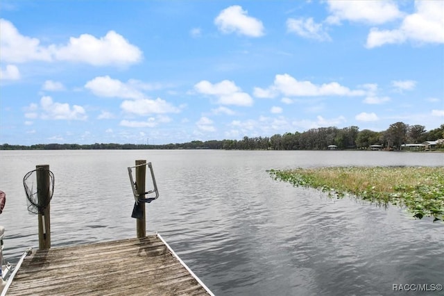 view of dock with a water view