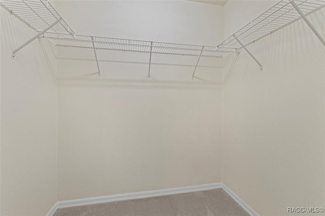 walk in closet featuring light carpet