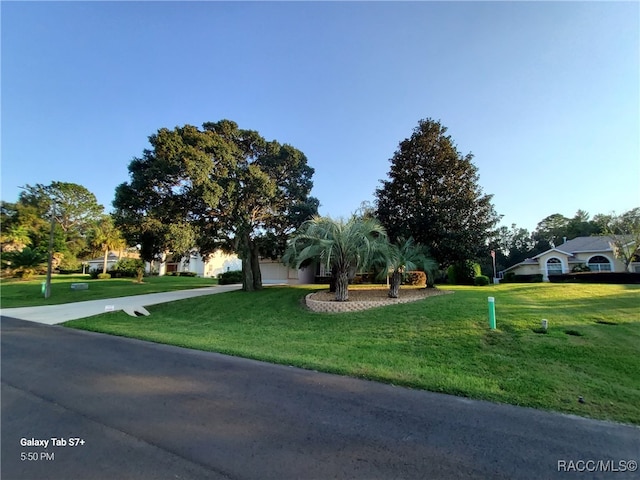 view of front of home featuring a front lawn