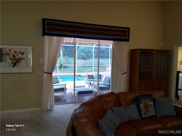 carpeted living room with a wealth of natural light