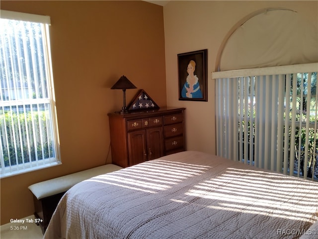 bedroom featuring multiple windows