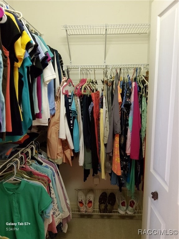 view of walk in closet