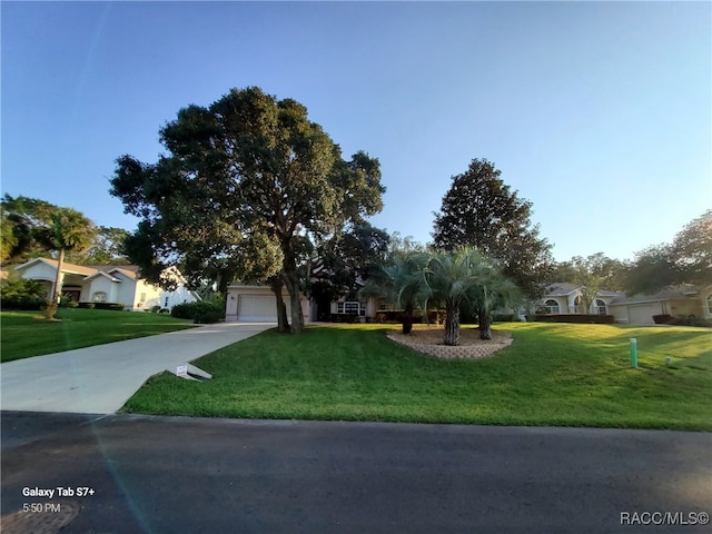 view of property hidden behind natural elements with a front yard and a garage