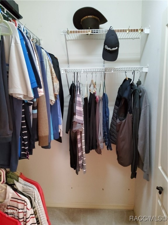 spacious closet with carpet floors