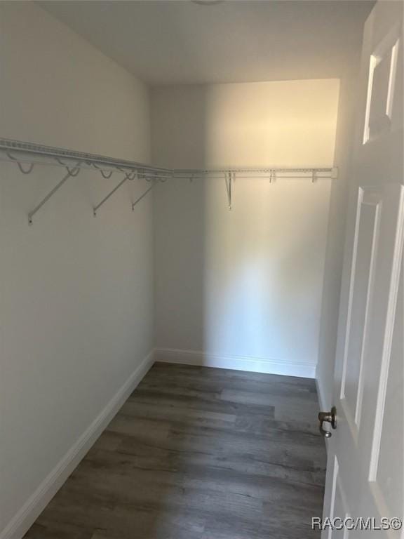 spacious closet with dark wood-style floors