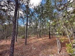 12 Apple Ct, Homosassa FL, 34446 land for sale