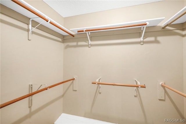 8831 E Sandpiper Dr, Inverness, FL 34450 - view of walk in closet