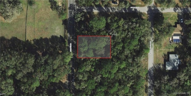 517 N Croft Ave, Inverness FL, 34453 land for sale