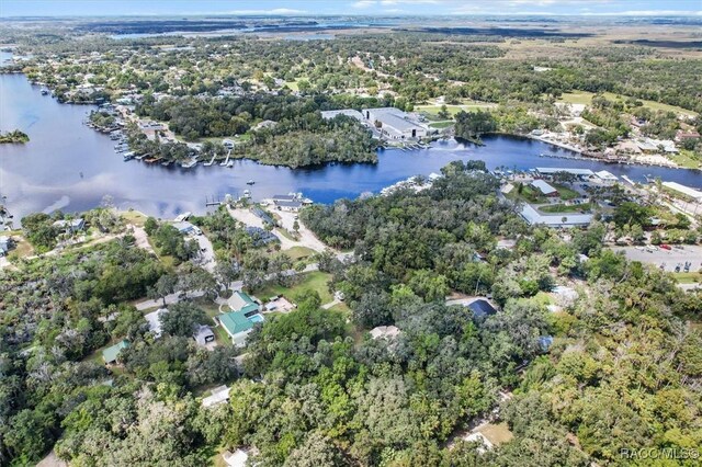 5431 S Boulevard Dr, Homosassa, FL 34448 - photo 7