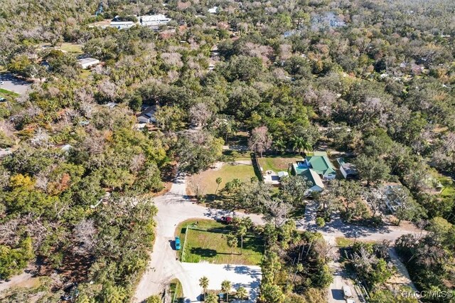 5431 S Boulevard Dr, Homosassa, FL 34448 - photo 8