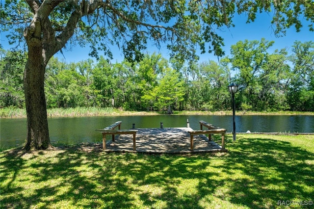 41 N Archwood Dr, Inverness, FL 34450 - photo 45