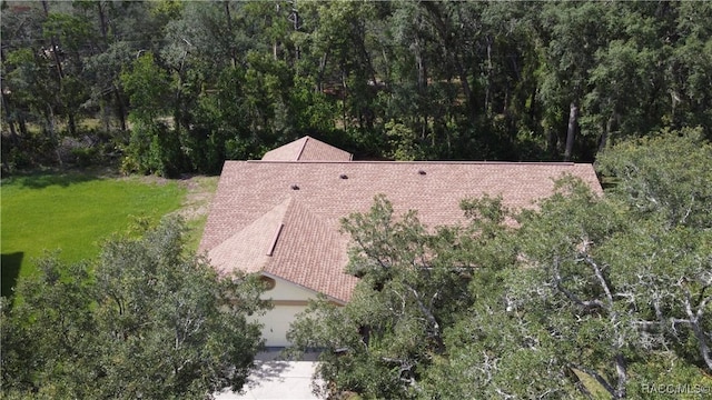 24 Boxelder Ct, Homosassa, FL 34446 - photo 40