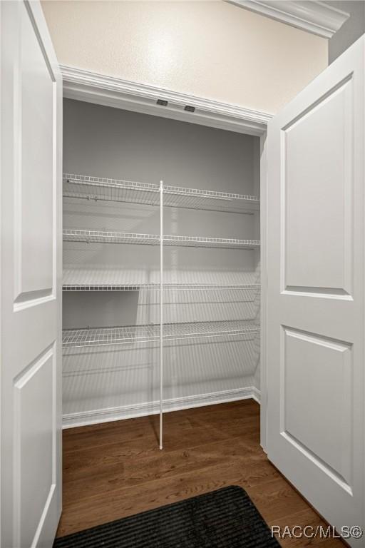 5235 N Sonora Ter, Beverly Hills, FL 34465 - view of closet