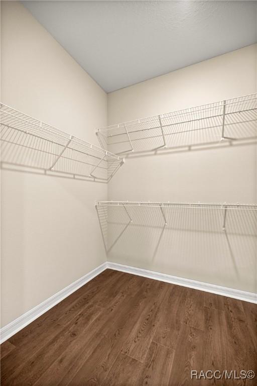 5235 N Sonora Ter, Beverly Hills, FL 34465 - spacious closet with dark wood finished floors