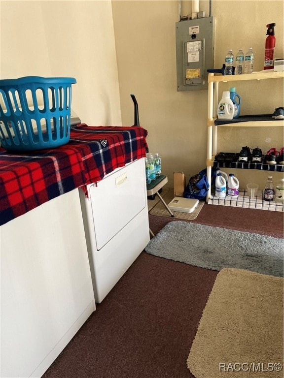 laundry area featuring carpet flooring, washer / clothes dryer, and electric panel