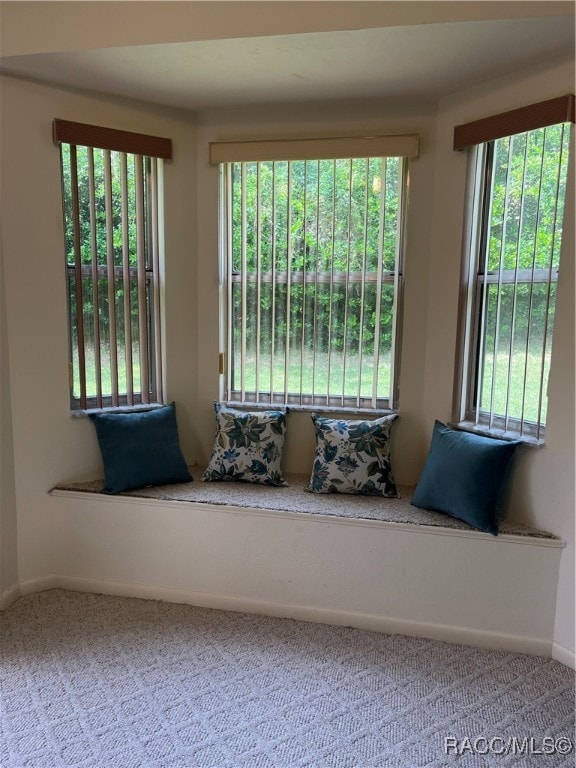 unfurnished room featuring carpet flooring and a wealth of natural light