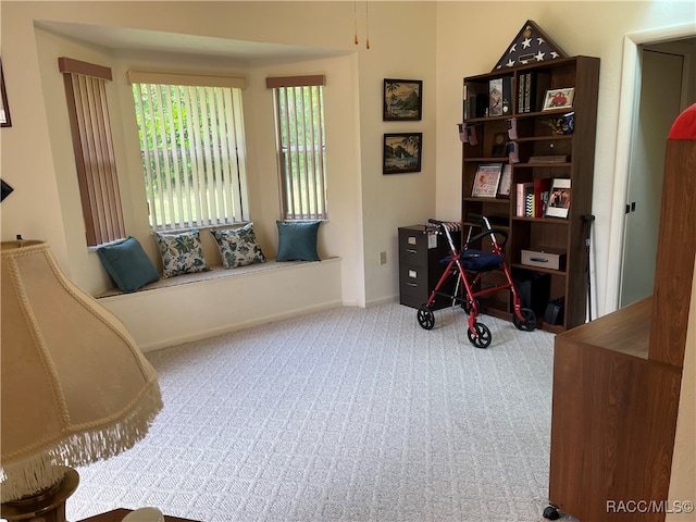 living area featuring carpet flooring