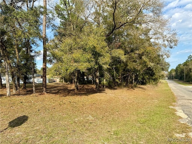 Listing photo 3 for 151 W Reef Ln, Dunnellon FL 34434