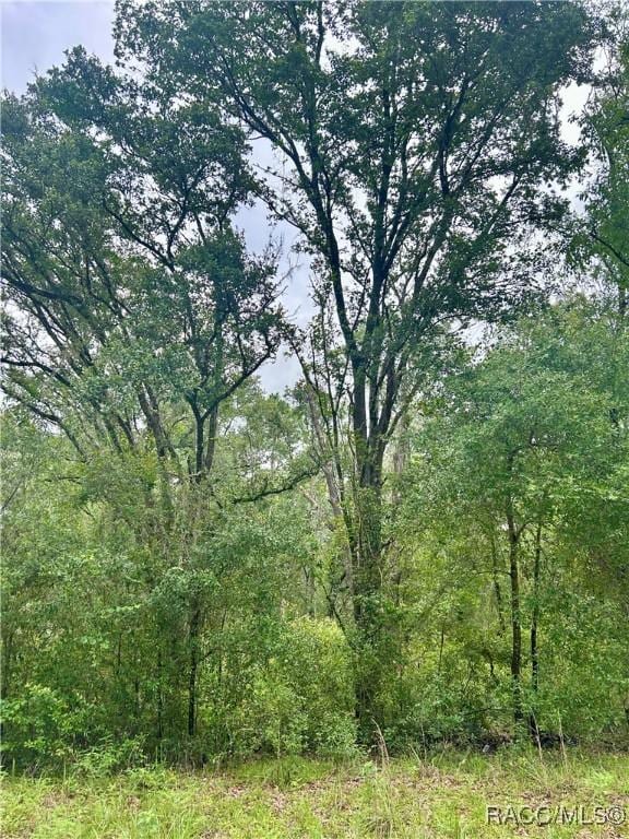 714 Longwood Ave, Inverness, FL 34453 - photo 1