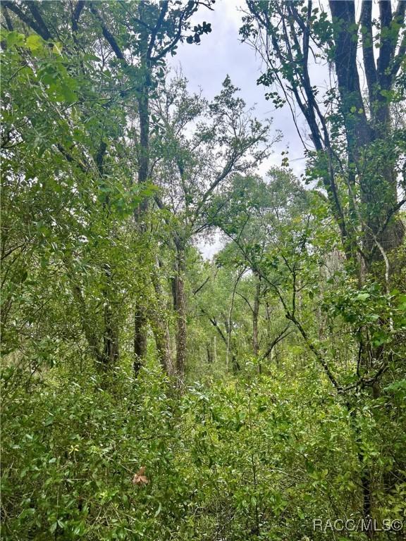 714 Longwood Ave, Inverness, FL 34453 - photo 8