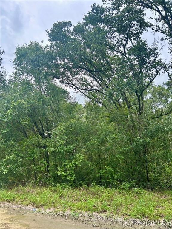 714 Longwood Ave, Inverness, FL 34453 - photo 2