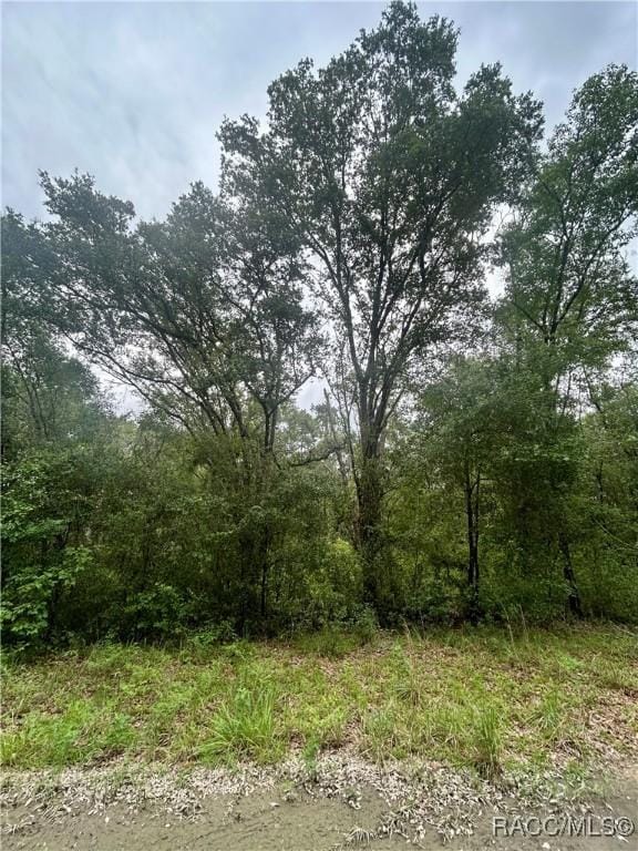 714 Longwood Ave, Inverness, FL 34453 - photo 12