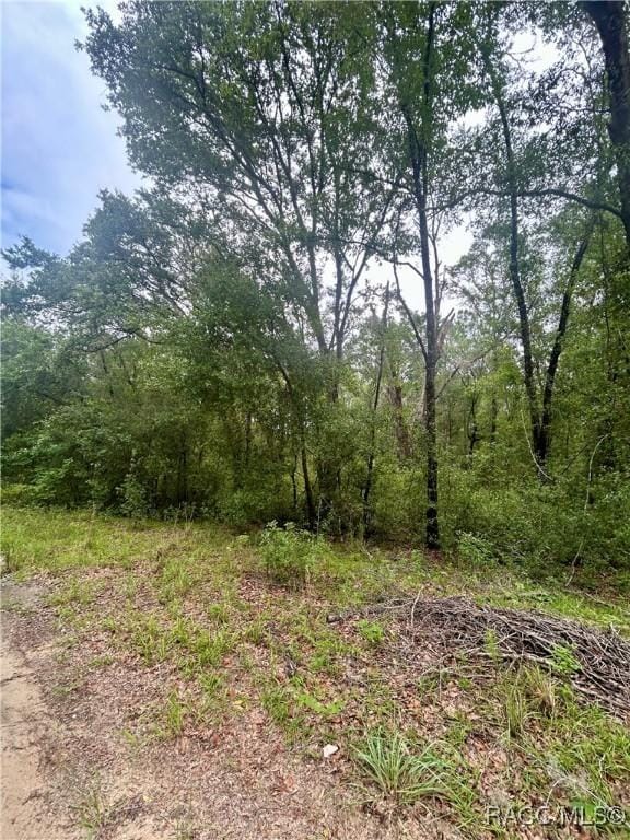 714 Longwood Ave, Inverness, FL 34453 - photo 6