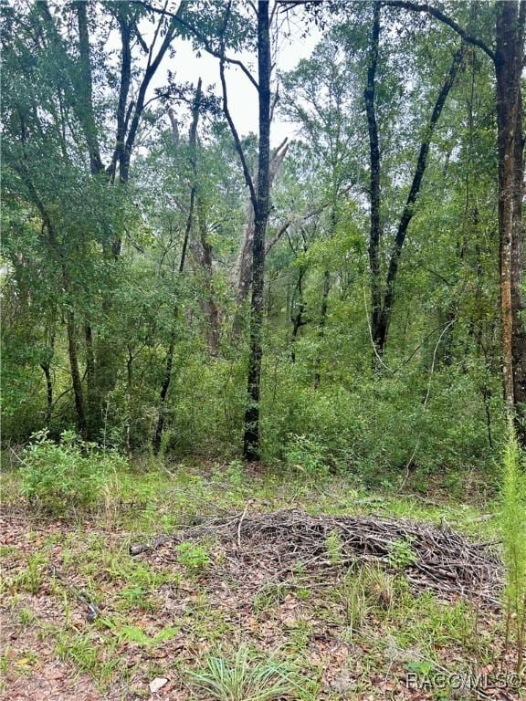 714 Longwood Ave, Inverness, FL 34453 - photo 3