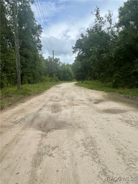 714 Longwood Ave, Inverness, FL 34453 - photo 4