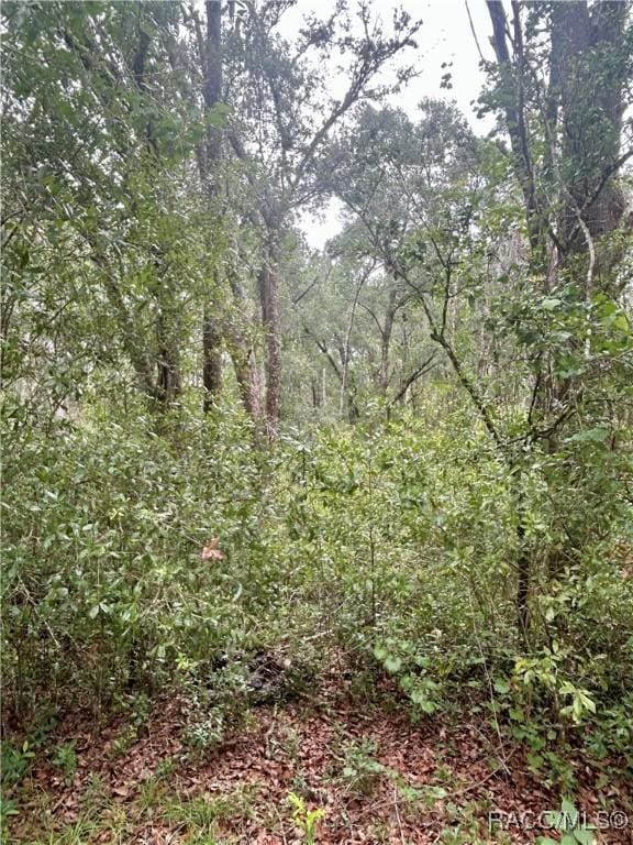714 Longwood Ave, Inverness, FL 34453 - photo 14