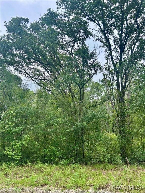 714 Longwood Ave, Inverness, FL 34453 - photo 11