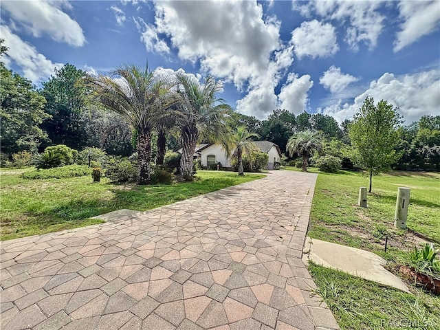 view of community featuring a yard