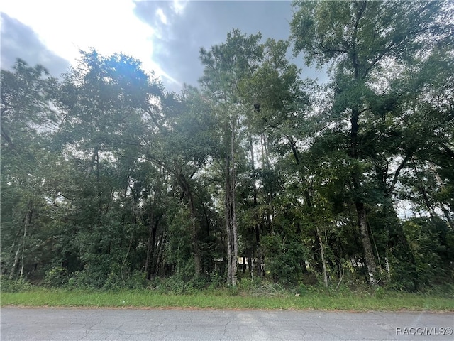 6534 Kent St, Inverness FL, 35542 land for sale