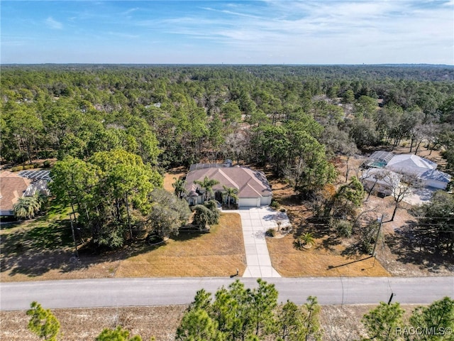 4339 N Canarywood Ter, Beverly Hills, FL 34465 - aerial view
