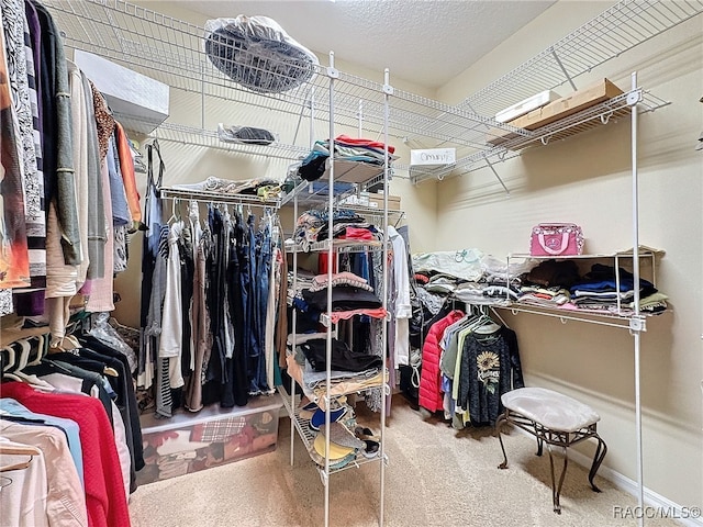 4339 N Canarywood Ter, Beverly Hills, FL 34465 - walk in closet with carpet
