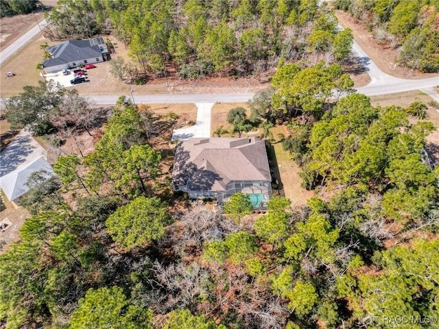 4339 N Canarywood Ter, Beverly Hills, FL 34465 - birds eye view of property