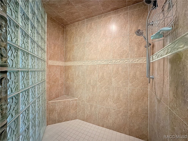 4339 N Canarywood Ter, Beverly Hills, FL 34465 - bathroom with a tile shower