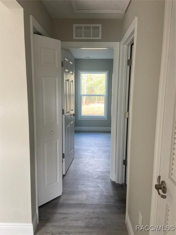 hallway with dark hardwood / wood-style floors