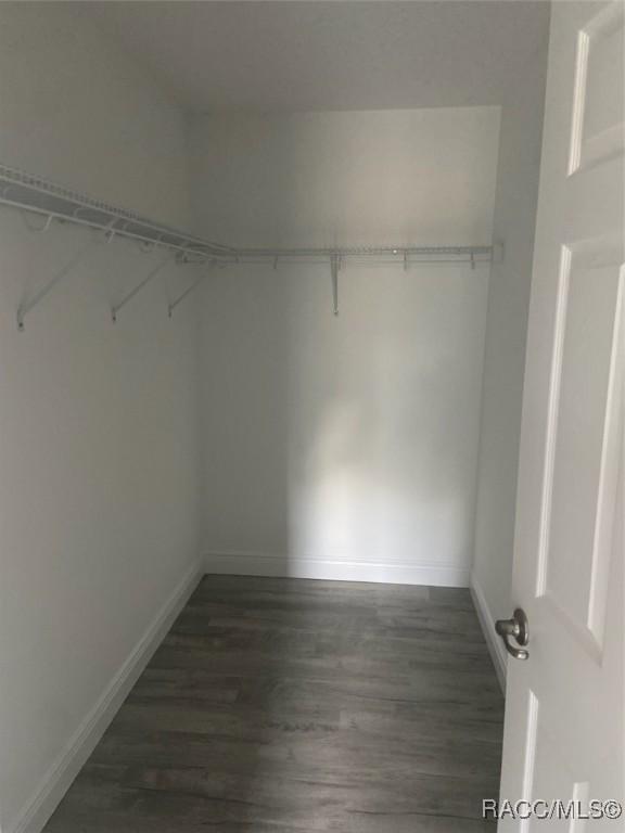 spacious closet featuring dark hardwood / wood-style flooring