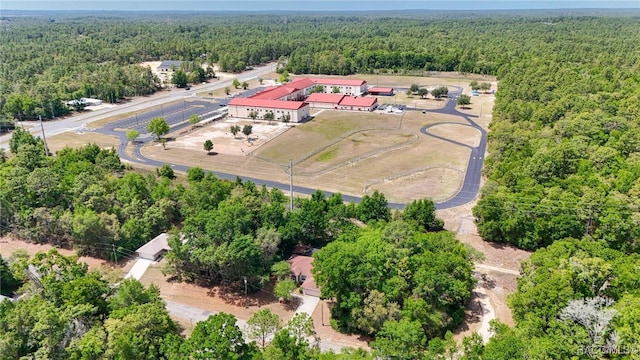 7690 N Greendale Dr, Citrus Springs, FL 34434 - aerial view of a forest