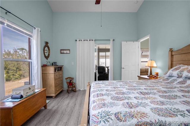 bedroom featuring multiple windows, ceiling fan, and light hardwood / wood-style flooring