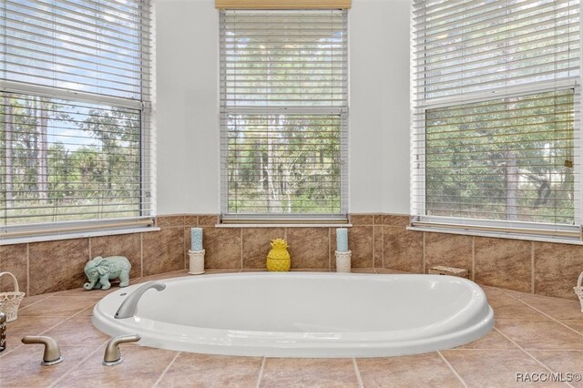 bathroom featuring a wealth of natural light