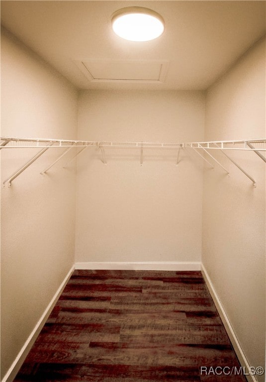 spacious closet featuring dark hardwood / wood-style flooring