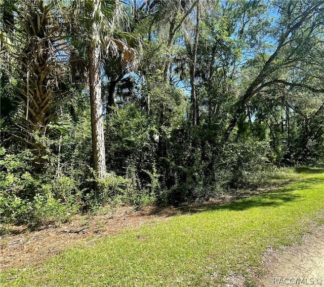 0 Azalee Ave, Inglis FL, 34449 land for sale