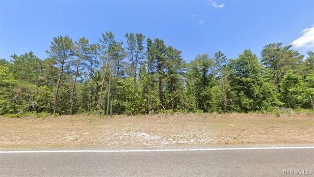 6389 W Oak Park Blvd, Homosassa, FL 34446 - photo 2