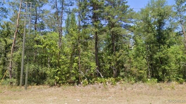 6389 W Oak Park Blvd, Homosassa, FL 34446 - photo 1