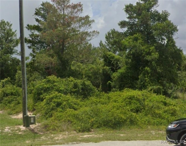 2121 Orchid Way, Kissimmee, FL 34759