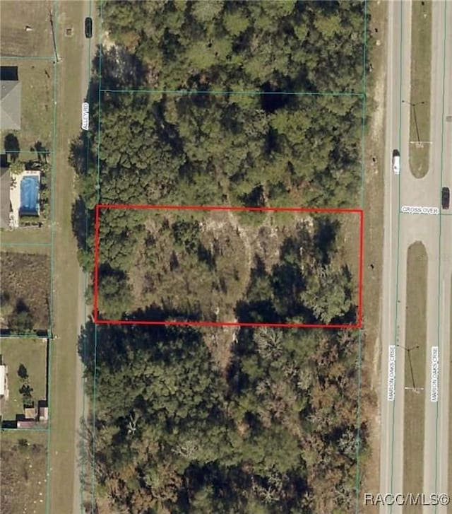 Listing photo 3 for TBD Alley Road, Ocala FL 34473